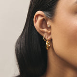 Remy Hoops