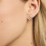 Kim Studs