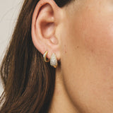 Linda Hoops
