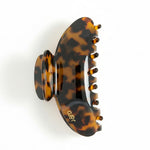 Tash Hair Clip - Tortoise Shell - Jolie & Deen 